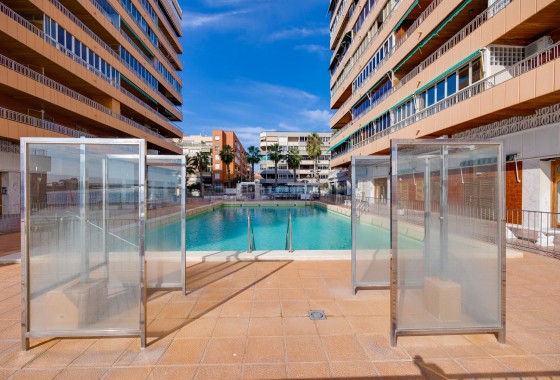 Location à long terme - Appartement - Torrevieja - Playa del Acequión