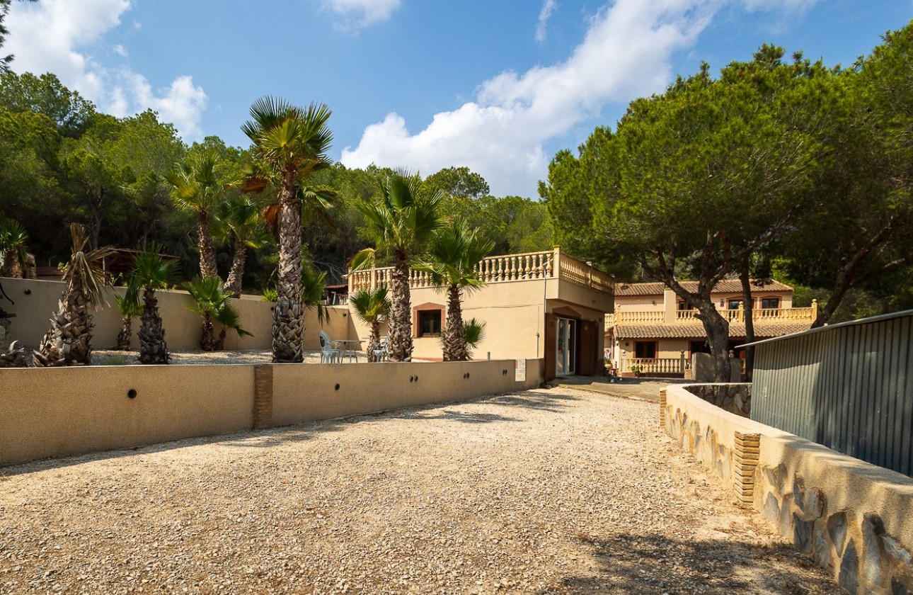 Revente - Country Property/Finca - Torremendo