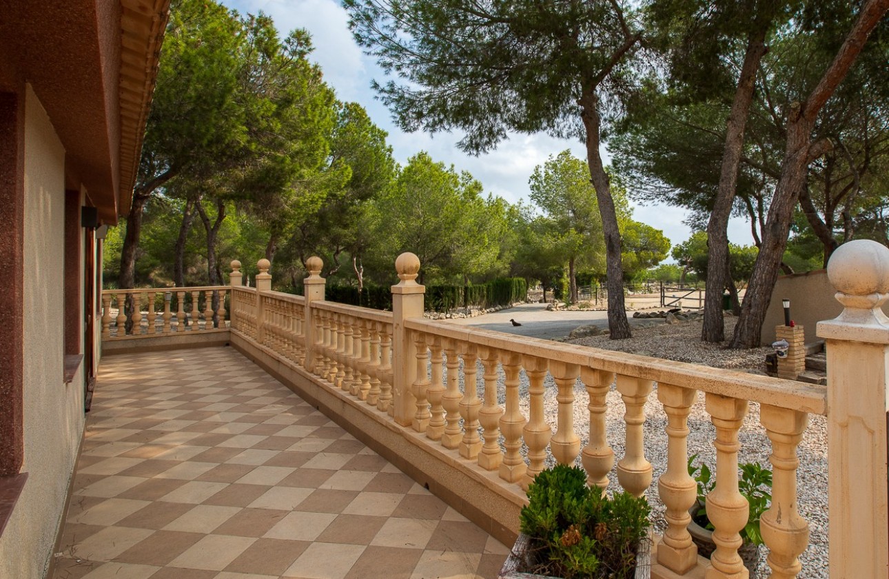 Revente - Country Property/Finca - Torremendo