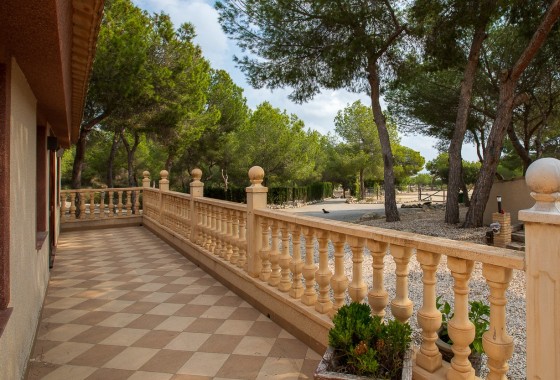 Revente - Country Property/Finca - Torremendo