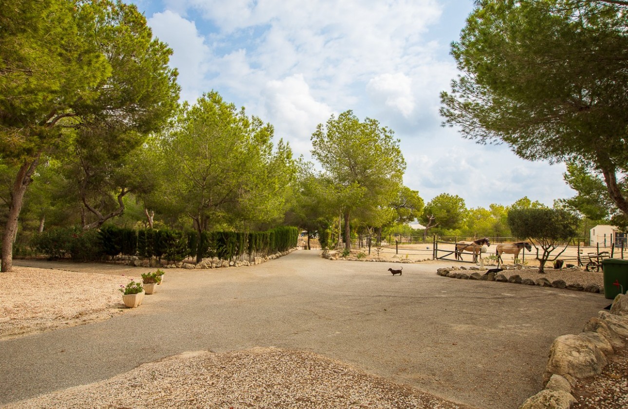 Revente - Country Property/Finca - Torremendo