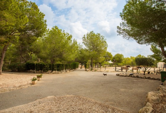 Revente - Country Property/Finca - Torremendo