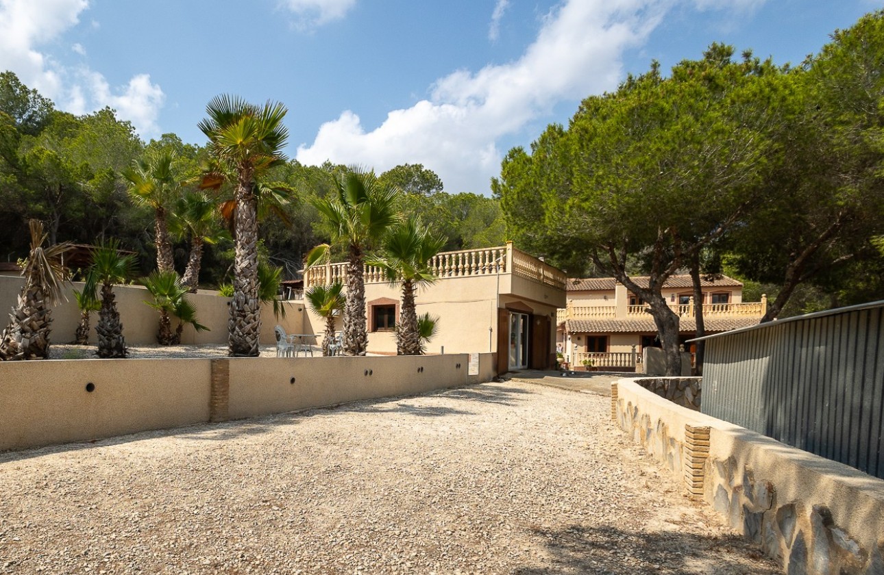 Revente - Country Property/Finca - Torremendo