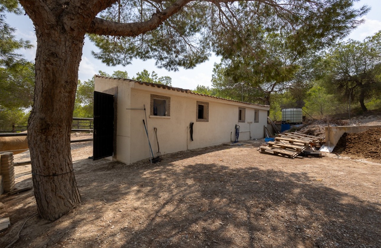 Revente - Country Property/Finca - Torremendo