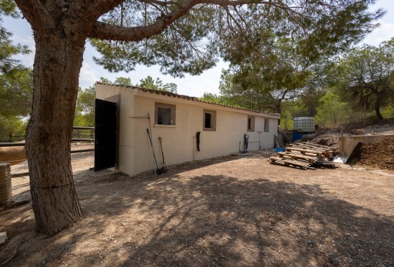 Revente - Country Property/Finca - Torremendo