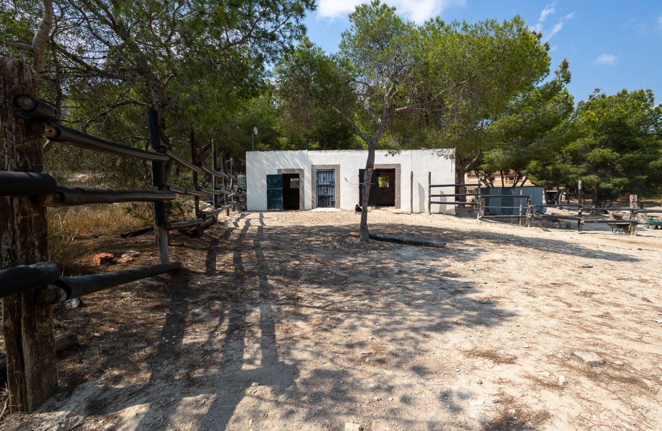Revente - Country Property/Finca - Torremendo
