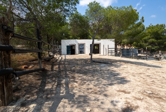 Revente - Country Property/Finca - Torremendo