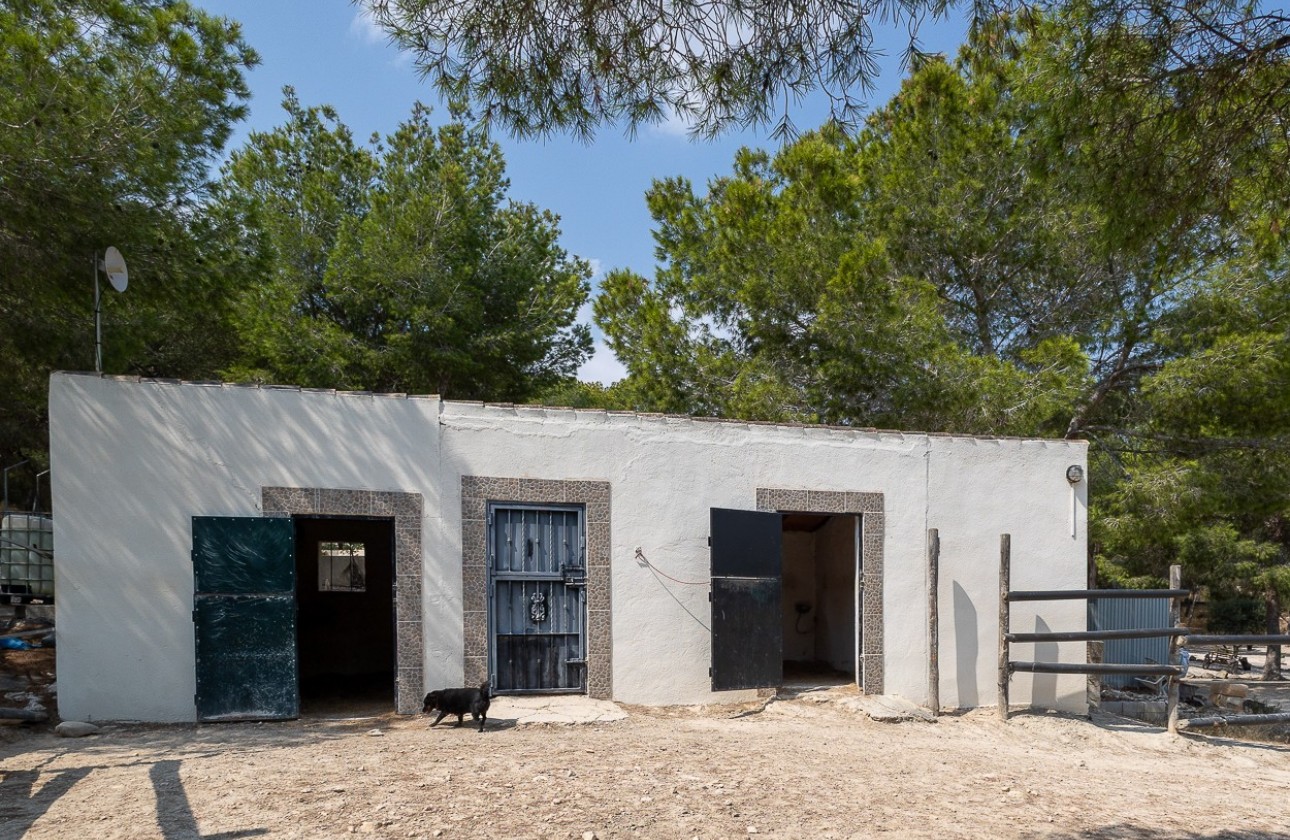 Revente - Country Property/Finca - Torremendo
