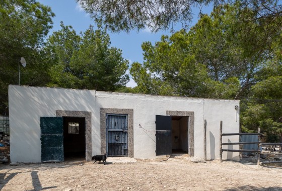 Revente - Country Property/Finca - Torremendo