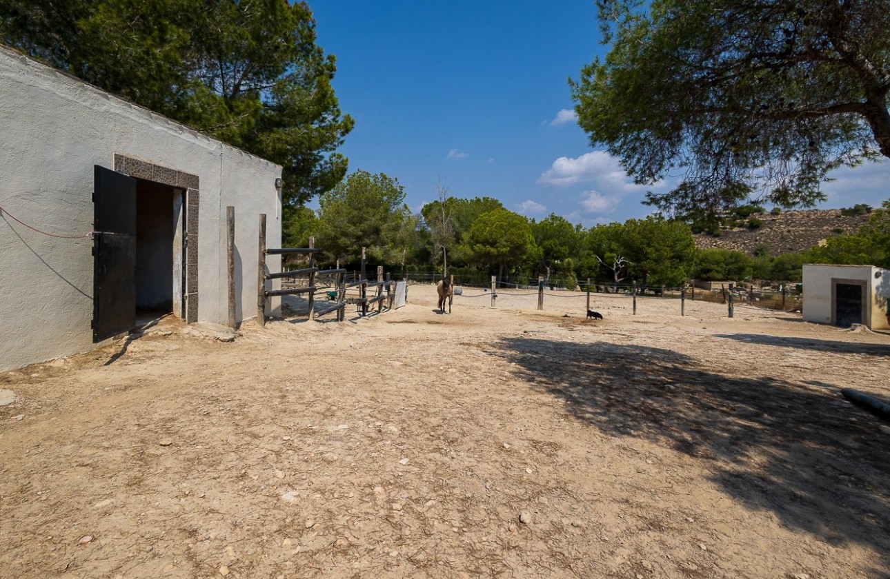 Revente - Country Property/Finca - Torremendo