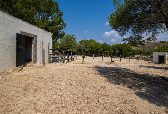 Revente - Country Property/Finca - Torremendo