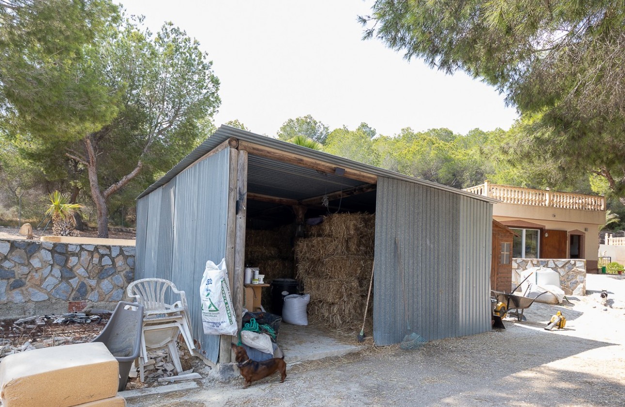 Revente - Country Property/Finca - Torremendo