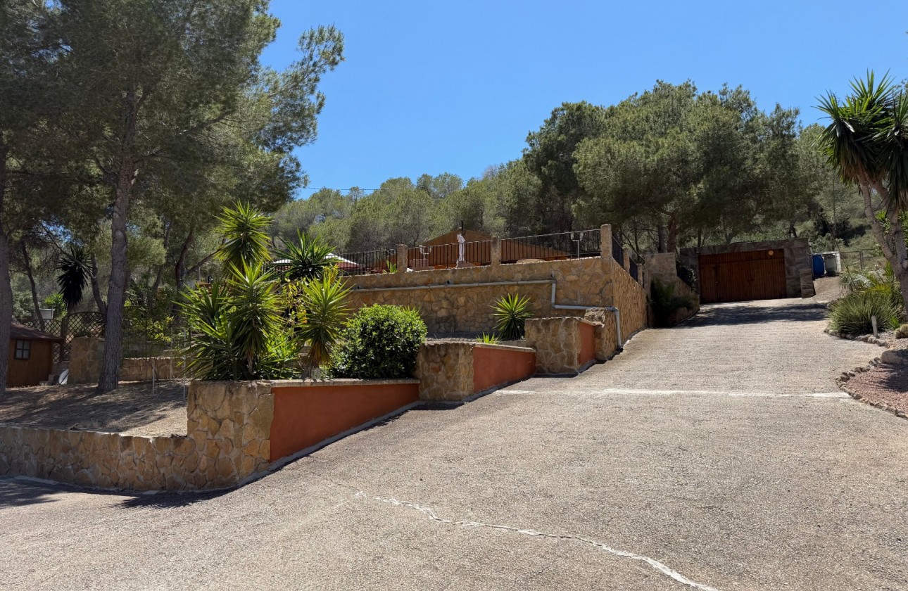 Resale - Country Property/Finca - Orihuela - Torremendo