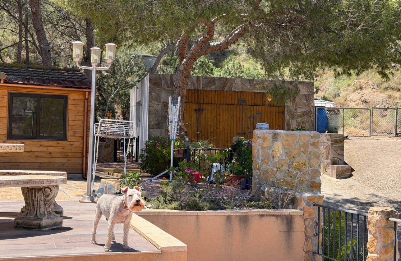 Resale - Country Property/Finca - Orihuela - Torremendo