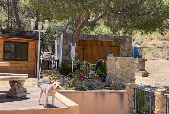 Resale - Country Property/Finca - Orihuela - Torremendo