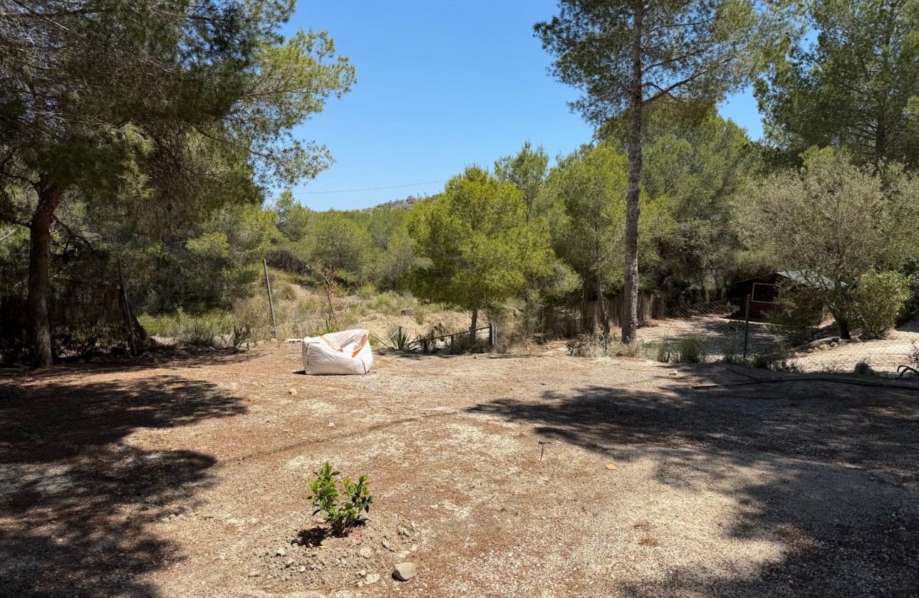 Resale - Country Property/Finca - Orihuela - Torremendo