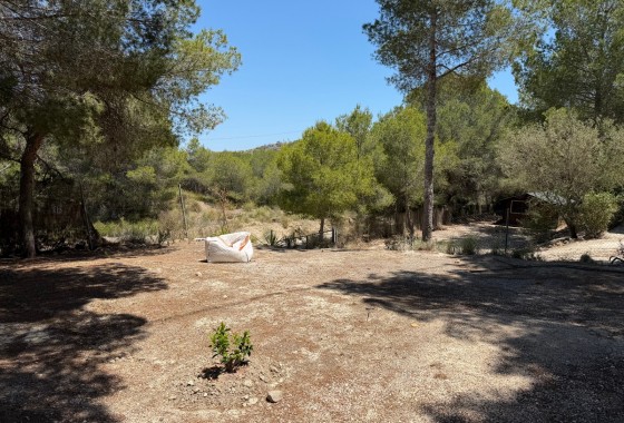 Resale - Country Property/Finca - Orihuela - Torremendo