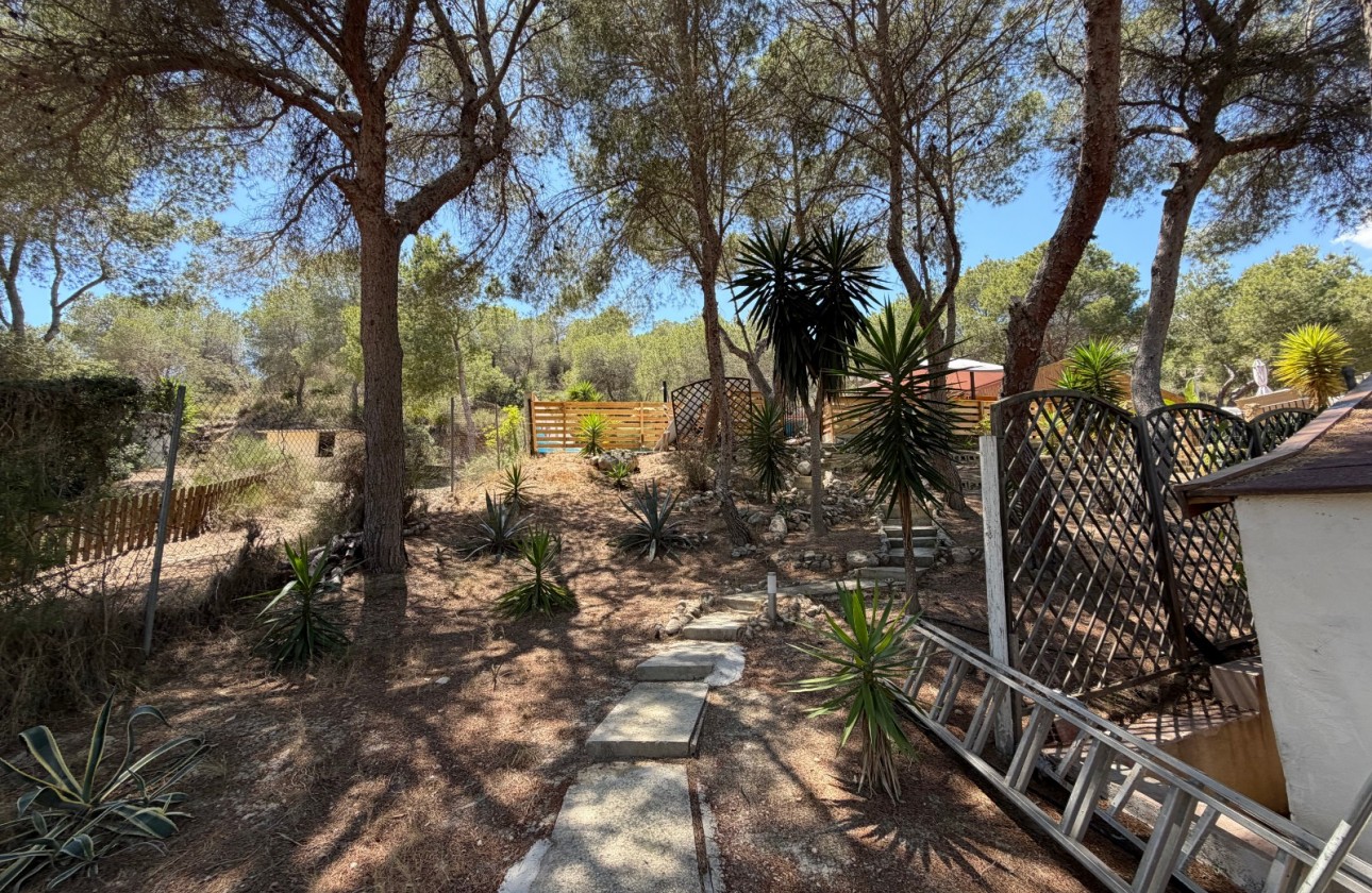 Resale - Country Property/Finca - Orihuela - Torremendo