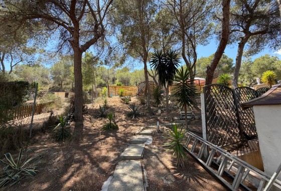 Resale - Country Property/Finca - Orihuela - Torremendo
