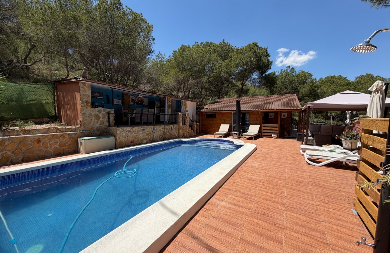 Resale - Country Property/Finca - Orihuela - Torremendo