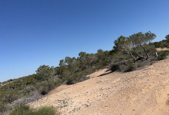 Resale - Land and Plots - San Fulgencio - La Marina
