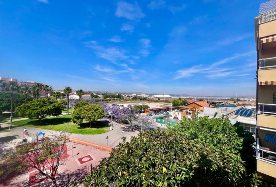 Resale - Apartment / flat - Torrevieja - Acequion