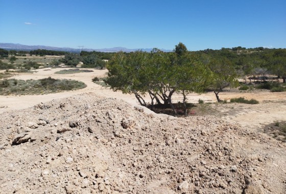 Resale - Land and Plots - San Fulgencio - La Marina