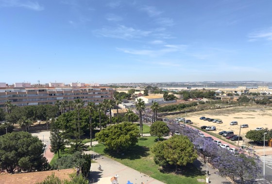 Resale - Apartment / flat - Torrevieja - Acequion