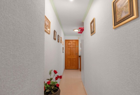 Revente - Appartement - Torrevieja - Playa del cura