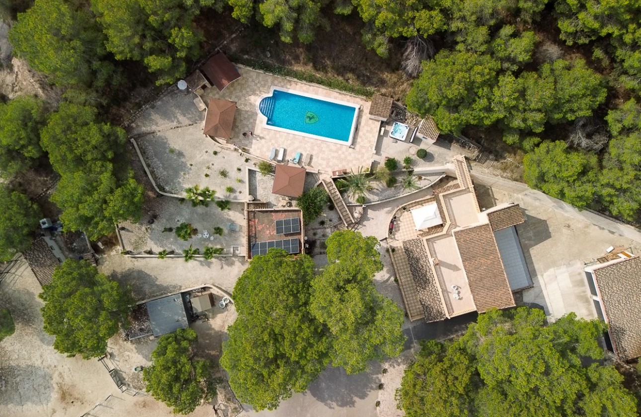 Revente - Country Property/Finca - Torremendo