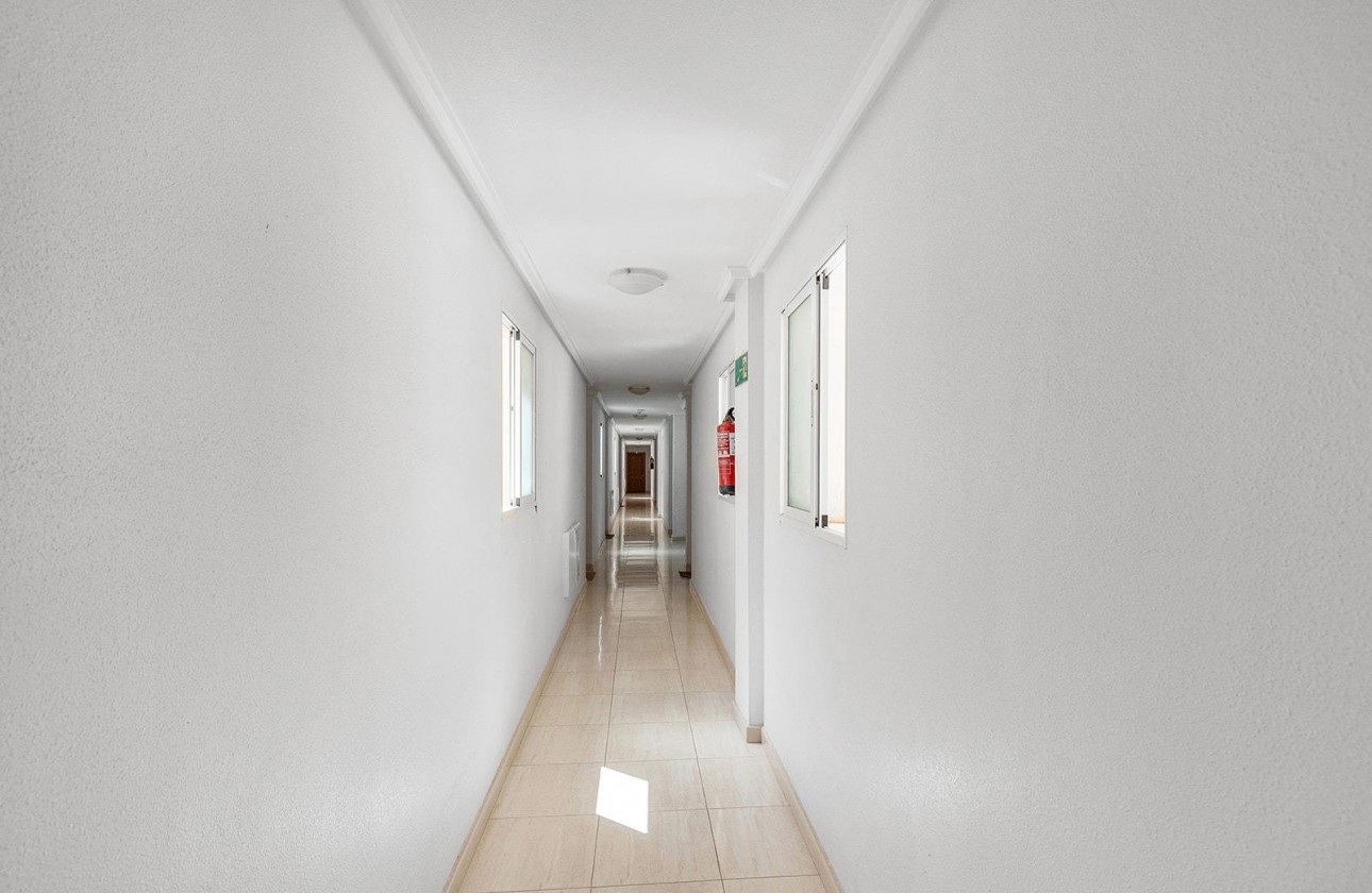 Resale - Penthouse - Torrevieja - Estacion de autobuses