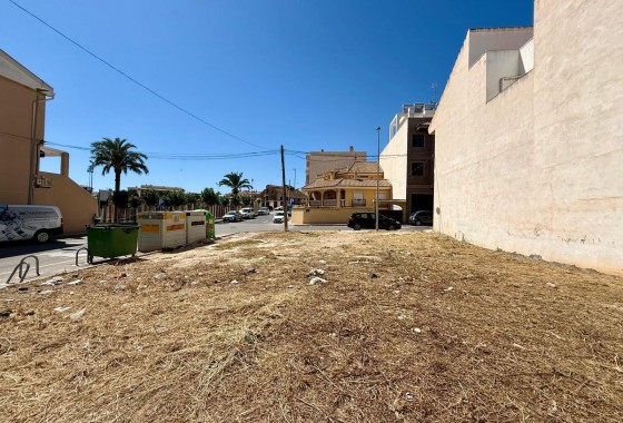 Revente - Parcelle / Terrain - San Miguel de Salinas - CENTRO URBANO