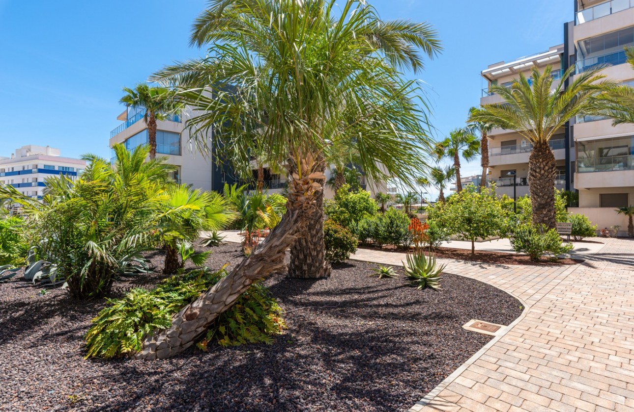 Resale - Apartment / flat - Orihuela Costa - Los Dolses