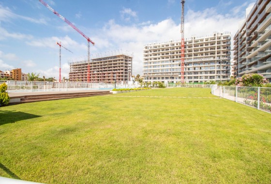 Revente - Appartement - Torrevieja - Punta prima