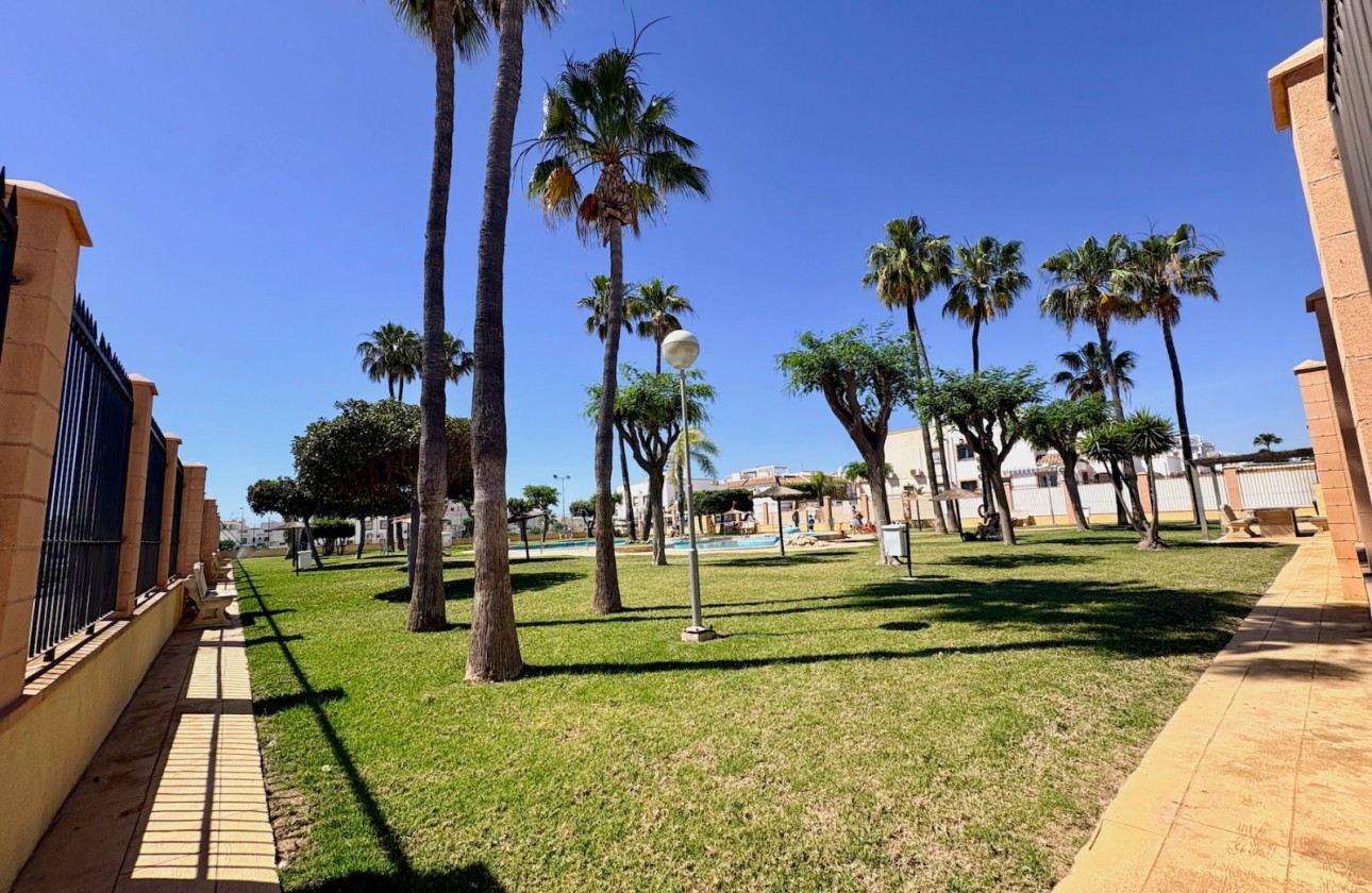 Reventa - Apartamento / piso - Orihuela Costa - Playa Flamenca