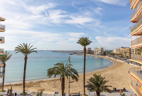 Revente - Attique - Torrevieja - Estacion de autobuses