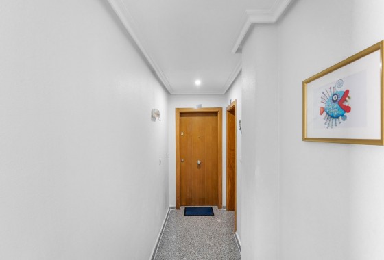 Revente - Appartement - Torrevieja - torrevieja