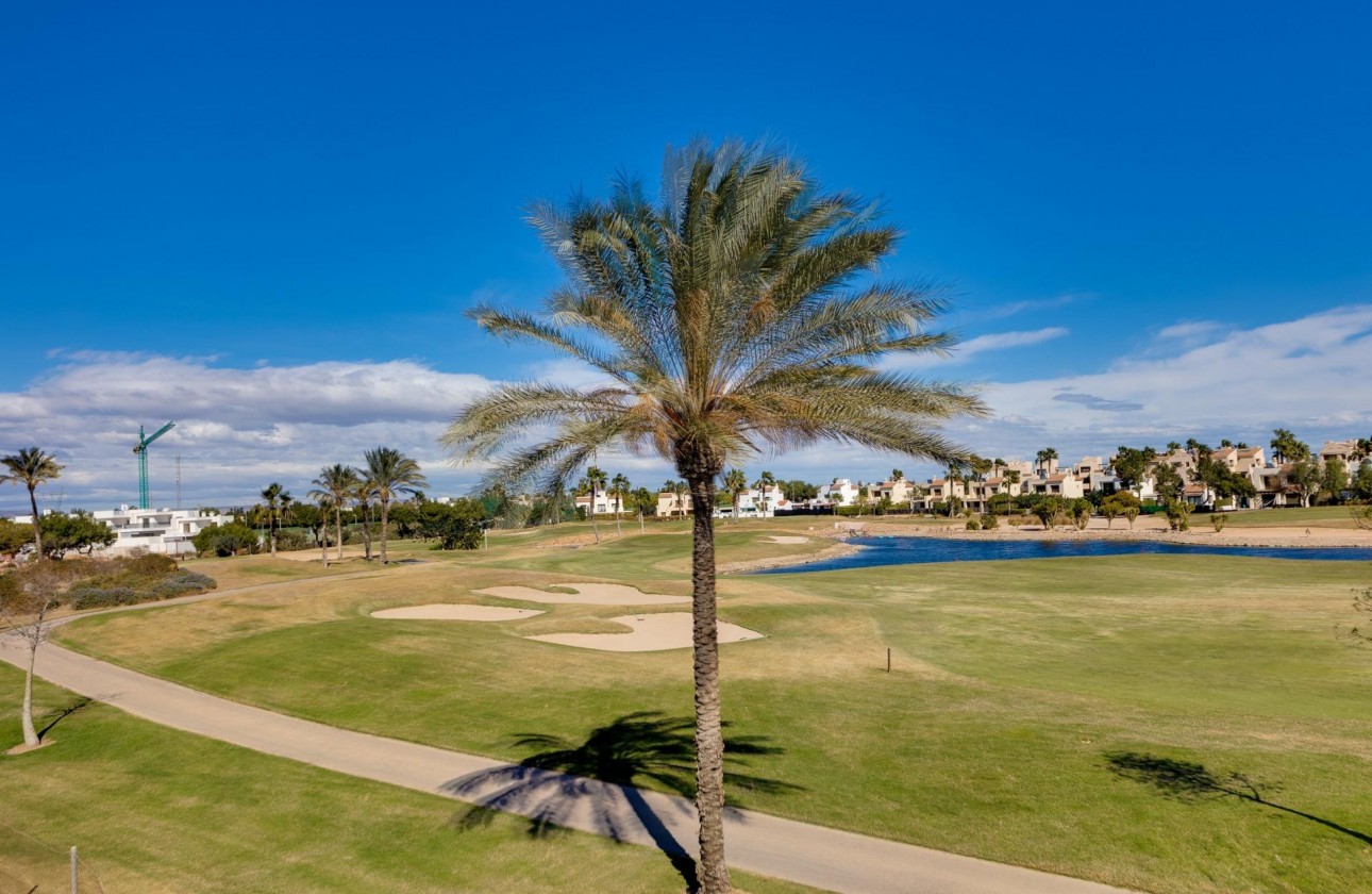 New Build - Villa - Pilar de la Horadada - Lo Romero Golf