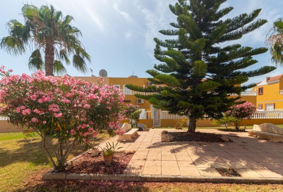Reventa - Chalet - Orihuela Costa - La Regia