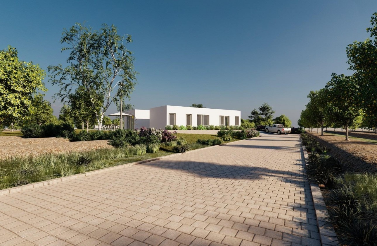 Nouvelle construction - Villa - Benejúzar - alta