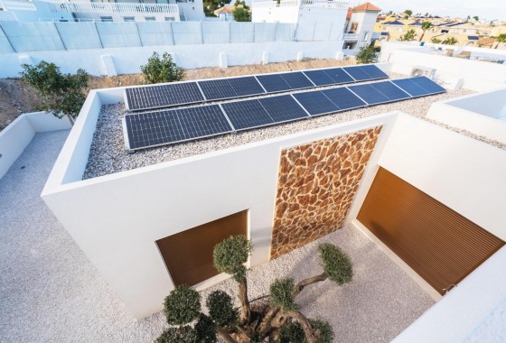 Nouvelle construction - Villa - Benejúzar - alta