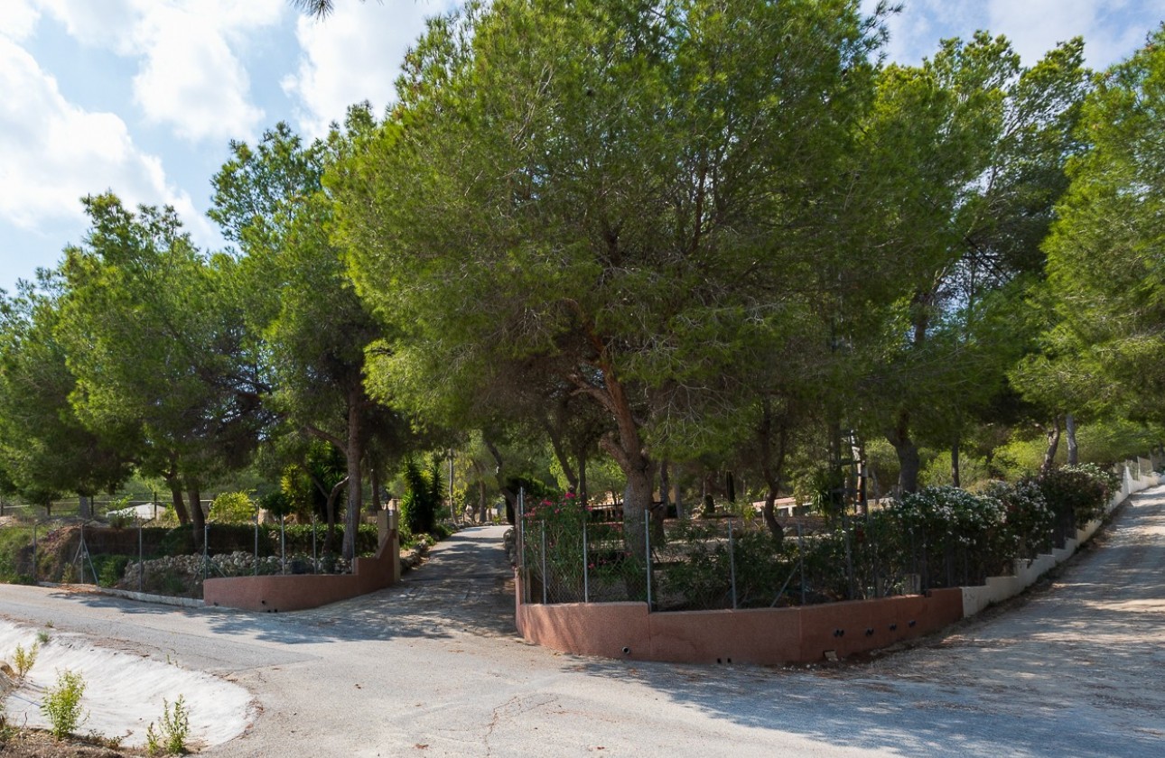Revente - Country Property/Finca - Torremendo