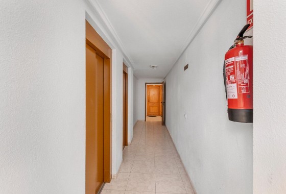 Reventa - Apartamento / piso - Torrevieja - Estacion de autobuses