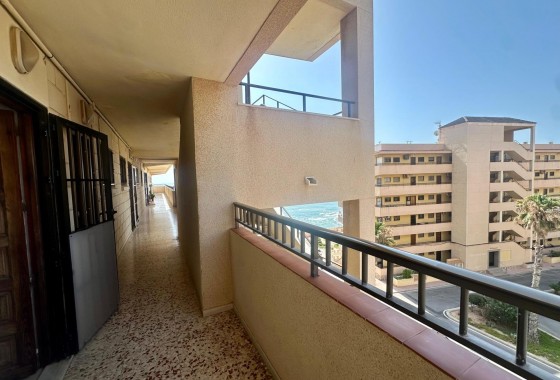 Revente - Appartement - Torrevieja - Cabo cervera