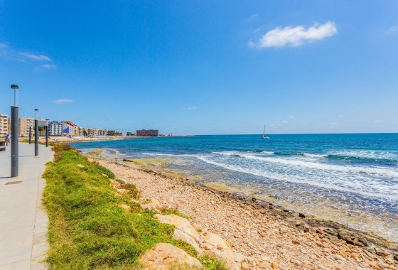 Reventa - Apartamento / piso - Torrevieja - Habaneras