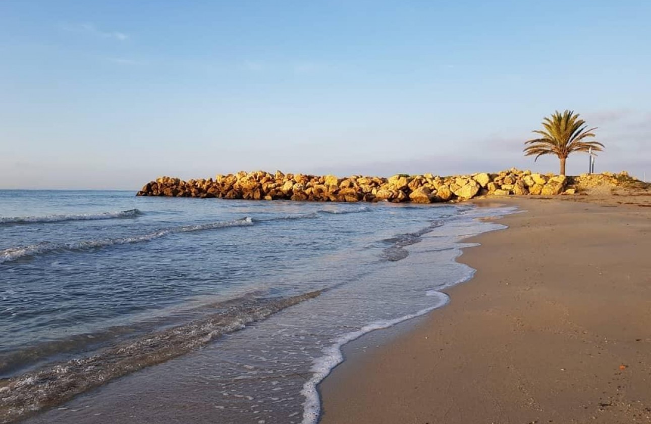 New Build - Apartment / flat - Santa Pola - Playa Tamarit