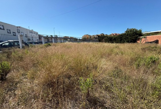 Revente - Plot - Orihuela Costa - La Regia