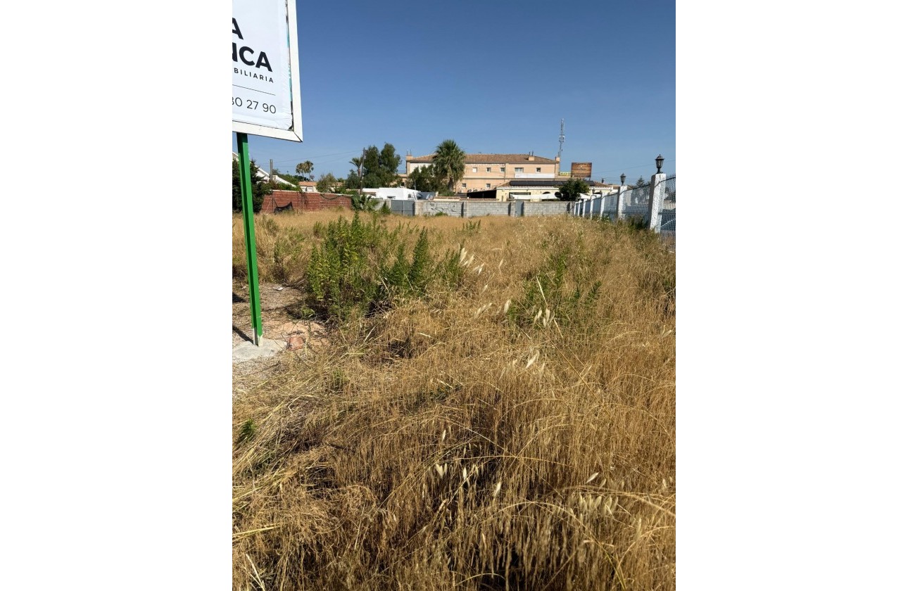 Revente - Plot - Orihuela Costa - La Regia