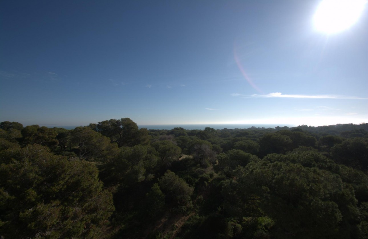 Nouvelle construction - Appartement - Guardamar del Segura - Pueblo