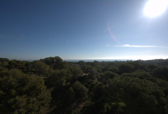 Nouvelle construction - Appartement - Guardamar del Segura - Pueblo